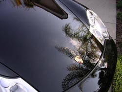 ������ ������ �� ��������