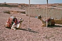 ����� � ������